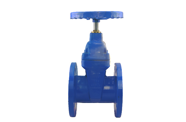 BS5163 Resilient Gate Valve with Brass Nut